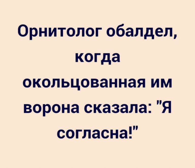 Юмор за день и обалдевший орнитолог