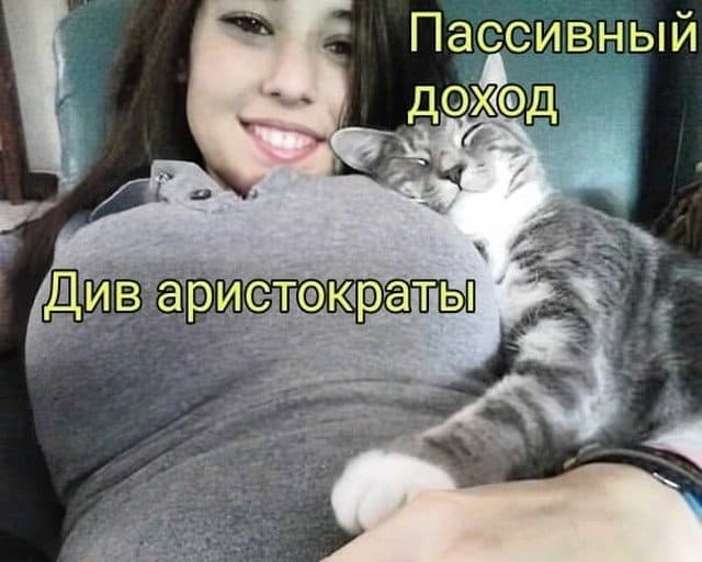 Мемы и шутки про современных инвесторов