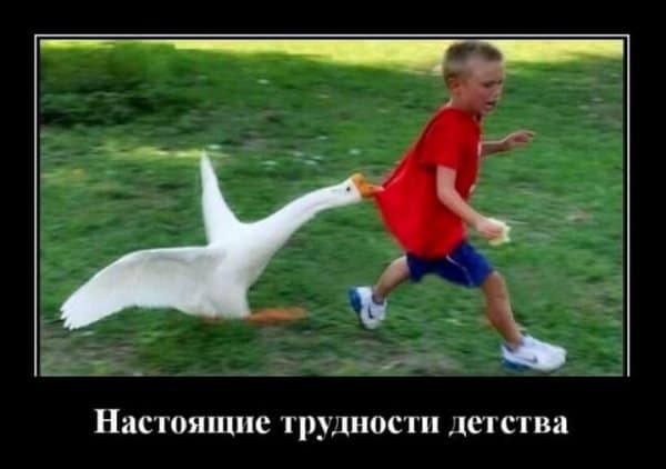 Демотиваторы в конце недели и настоящие трудности детства
