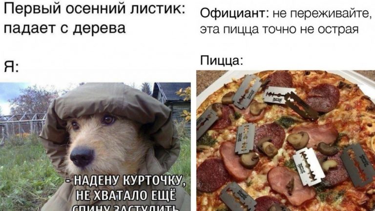 Осенние листочки, острая пицца и другие картинки с смешными надписями