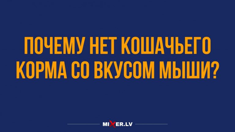 Юмор за день и кошачий корм