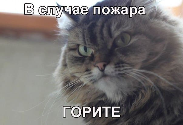 5 знаков зодиака, которые открыто или втайне кого-то ненавидят