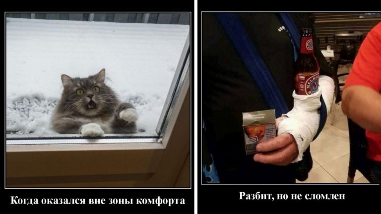 Свежие демотиваторы и выход из зоны комфорта