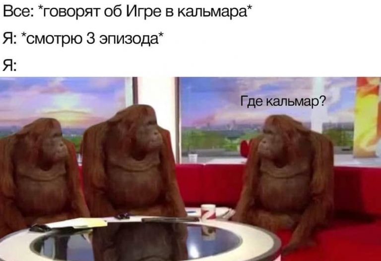 Фото приколы за сегодня и игра в кальмара
