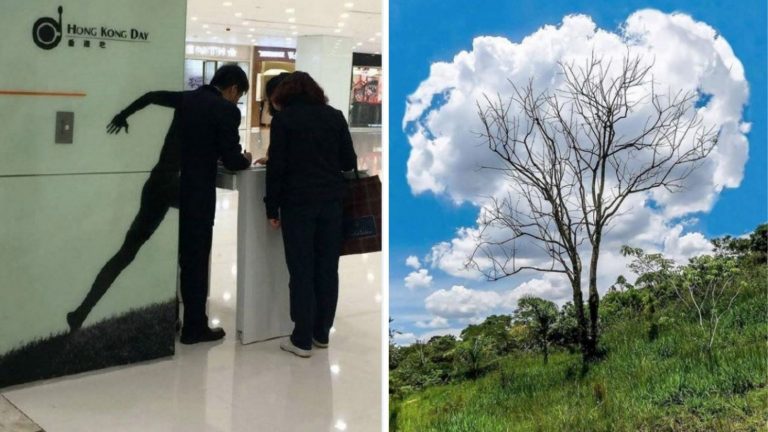 20 фотографий со смыслом, которые вряд ли получится понять с первого раза