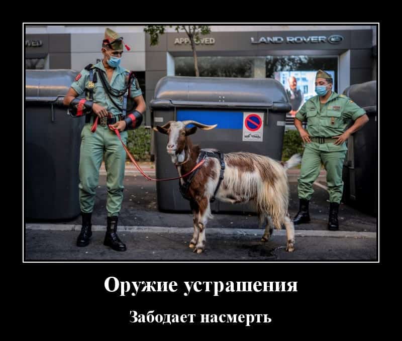 Субботние демотиваторы и оружие устрашения