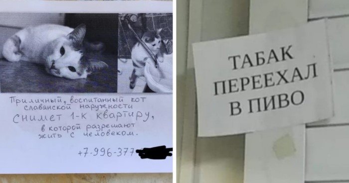 20 информационных объявлений, читая которые можно обхохотаться