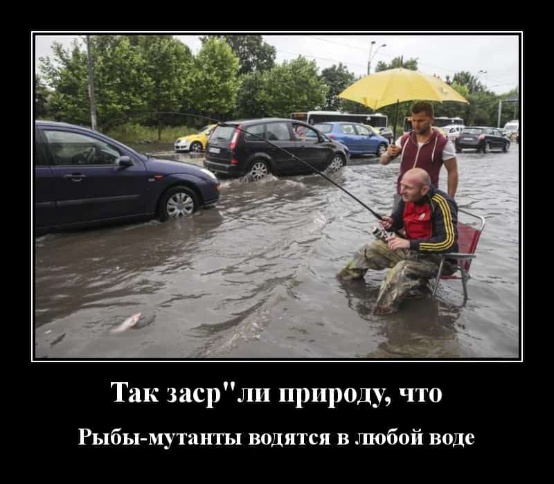 Смешные демотиваторы и рыбы — мутанты