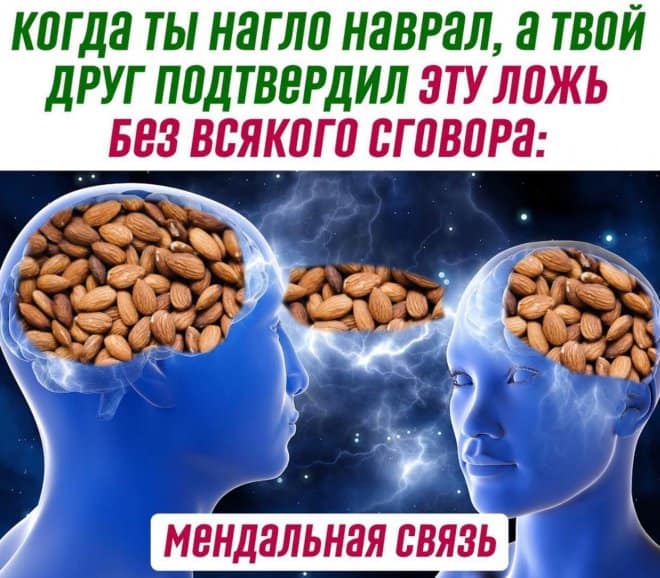 Юмор в картинках и миндальная связь