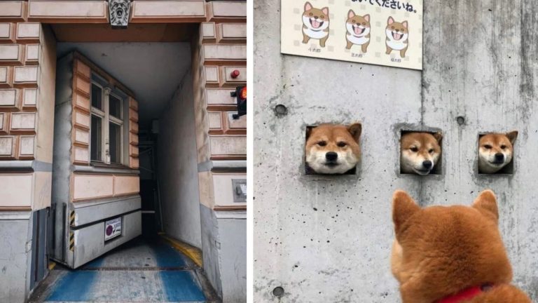 29 раз когда реальность дала сбой, и кажется, что мы живем в Матрице