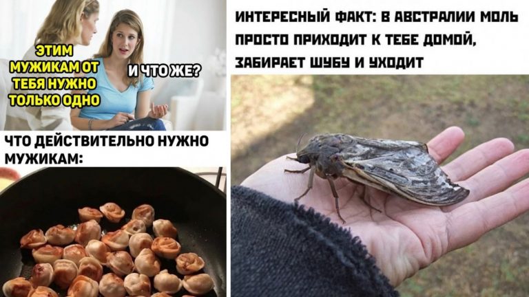 Картинки с надписями за день и чего хотят мужчины