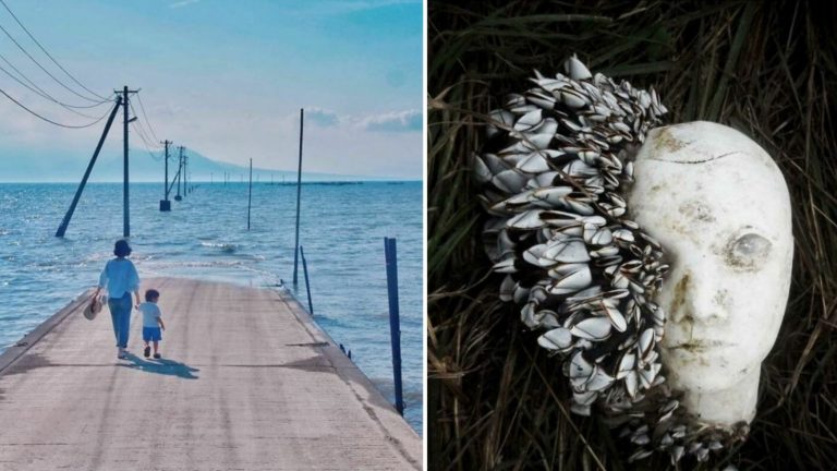 26 сбивающих с толку фотографий, на которые нужно взглянуть дважды, чтобы понять, что на них происходит