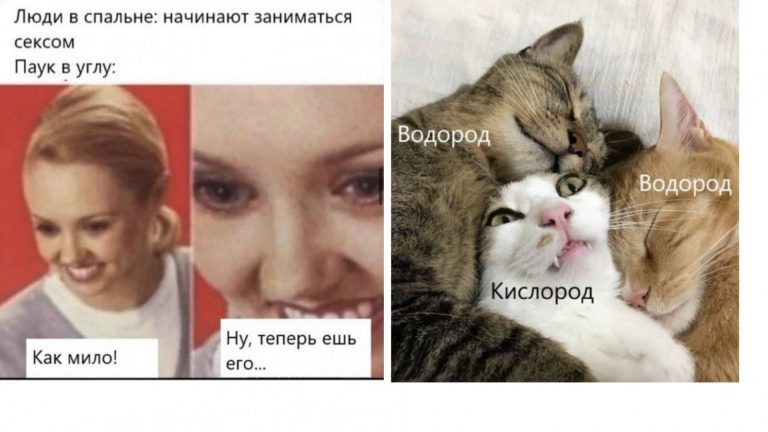 Картинки с надписями, мемы и приколы для умных людей