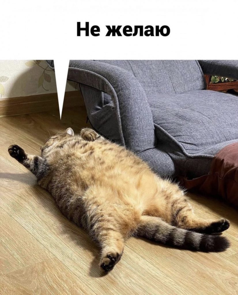 Юмор за день и заместитель