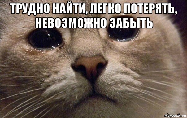 4 знака Зодиака, которых невозможно забыть после расставания