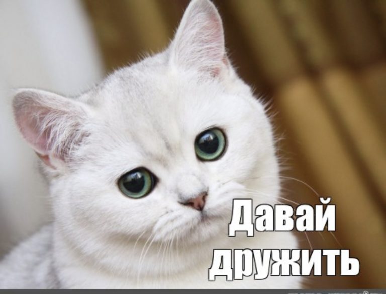 3 знака Зодиака, которым просто необходимо дружить с мужчинами- Козерогами