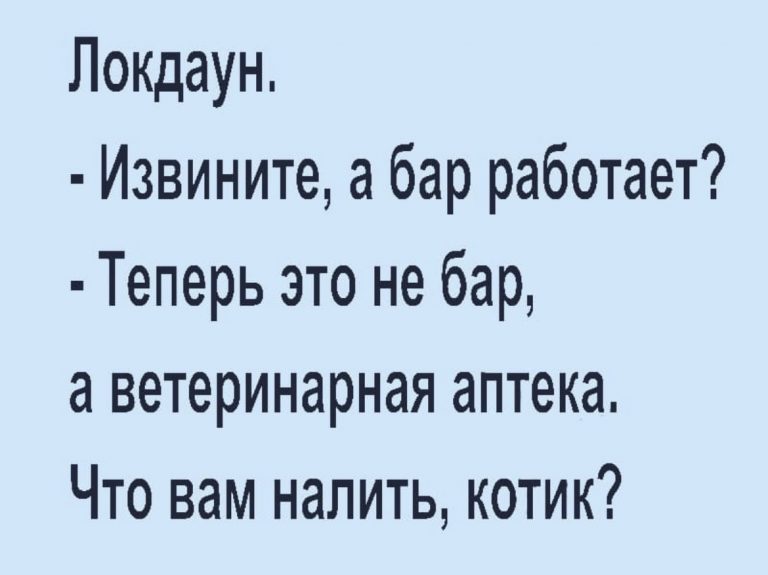 Юмор за день и котик