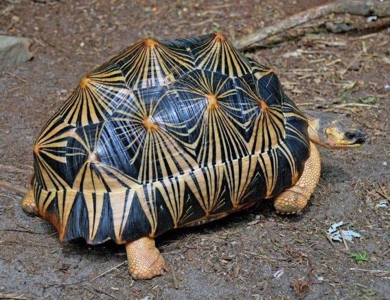 20 фотографий которые удивят даже тех, кто видел все