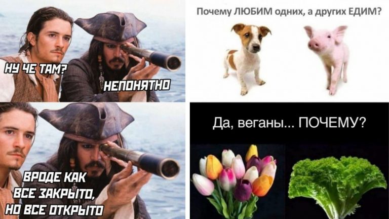Разомните мозг порцией нестандартного юмора и вопрос к веганам