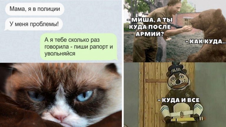 И смех и грех: шутки и приколы про полицию