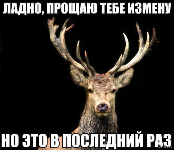 4 знака Зодиака, в которых заложена склонность к изменам