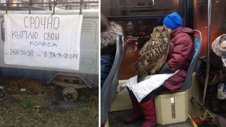 17 фото с просторов России доказывающие что другой такой страны просто нет