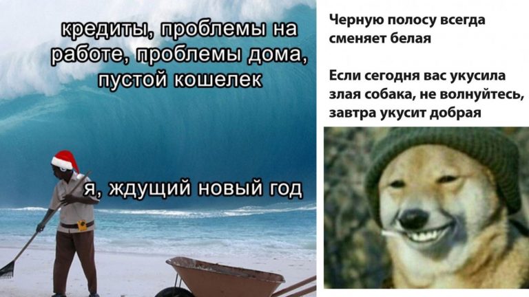 Добрая собака, скоро новый год и другие прикольные картинки