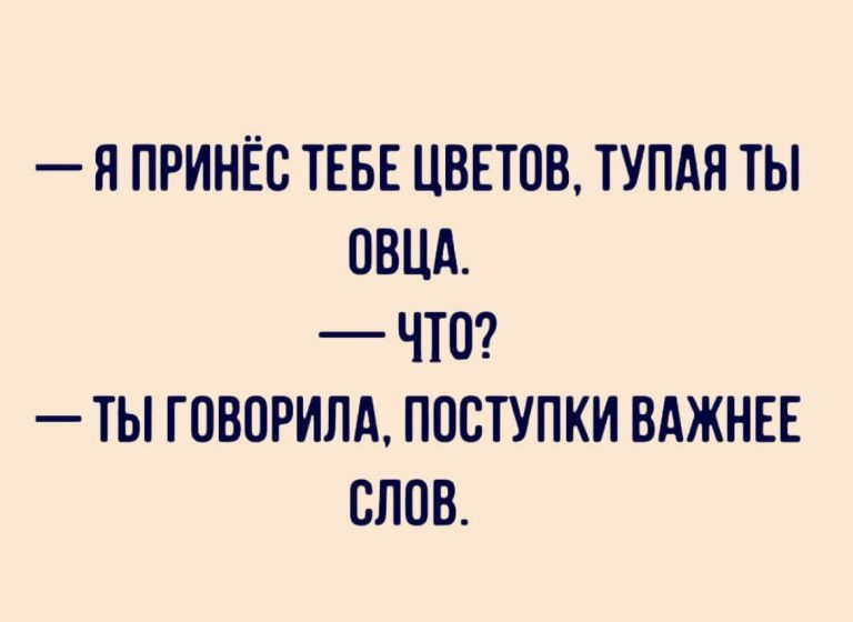 Юмор за день и тупая овца
