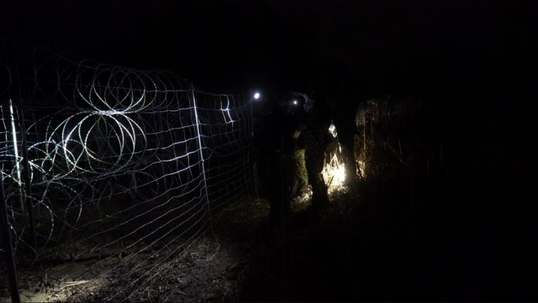 Мигранты вновь пытались проникнуть в Польшу этой ночью