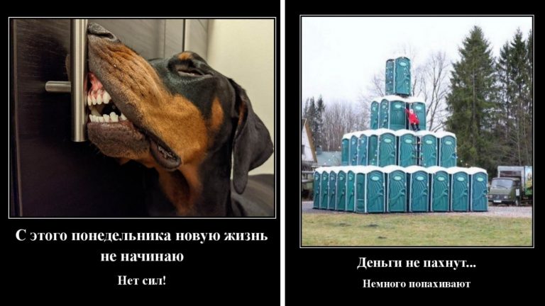 Смешные демотиваторы и новая жизнь с понедельника