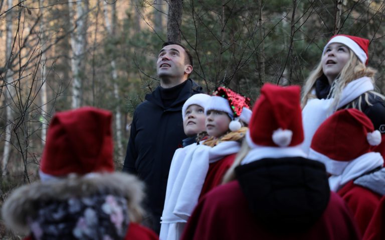 В Тирельском лесничестве впервые выбраны елки, которые украсят микрорайоны столицы