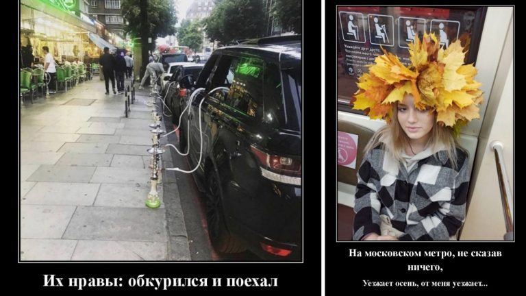 Смешные демотиваторы и уходящая осень