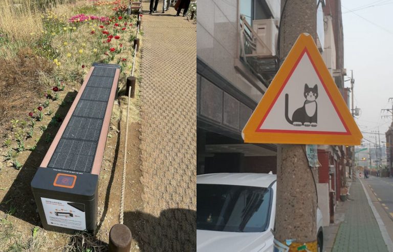 Южная Корея — это совершенно другой мир, и эти 20+ фотографий доказывают это