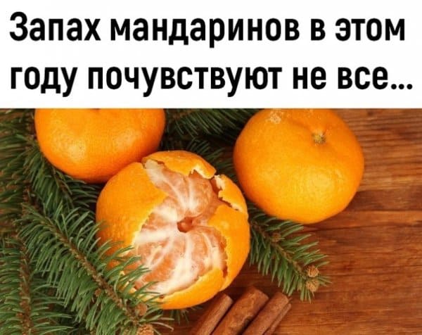 Свежая подборка картинок поднимающих настроение и вкус мандаринов