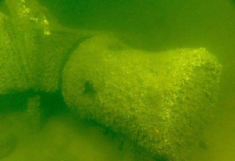 Энтузиаст-археолог обнаружил в море у Даугавгривы часть старинного корабля (ФОТО)