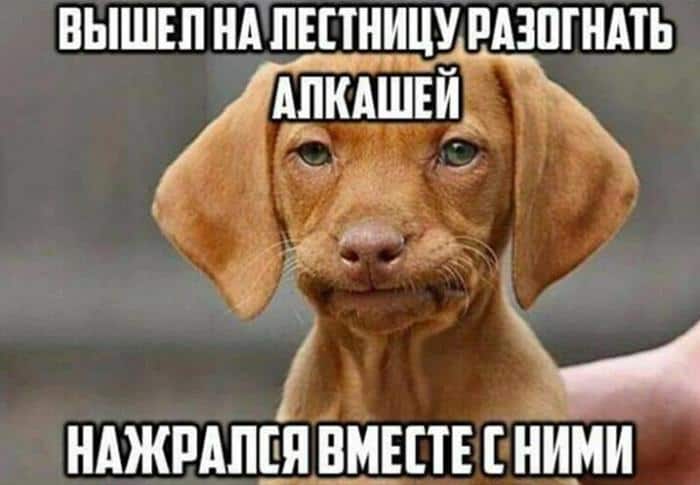 Пост алкогольного юмора и когда вышел на лестницу