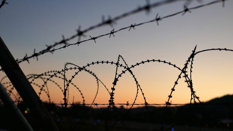 Страны Балтии и Польши осудили использование Беларусью мигрантов для оказания давления