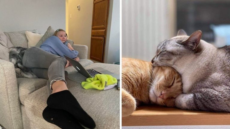 17 фотографий, которые легко вас обманут, если не посмотреть на них дважды