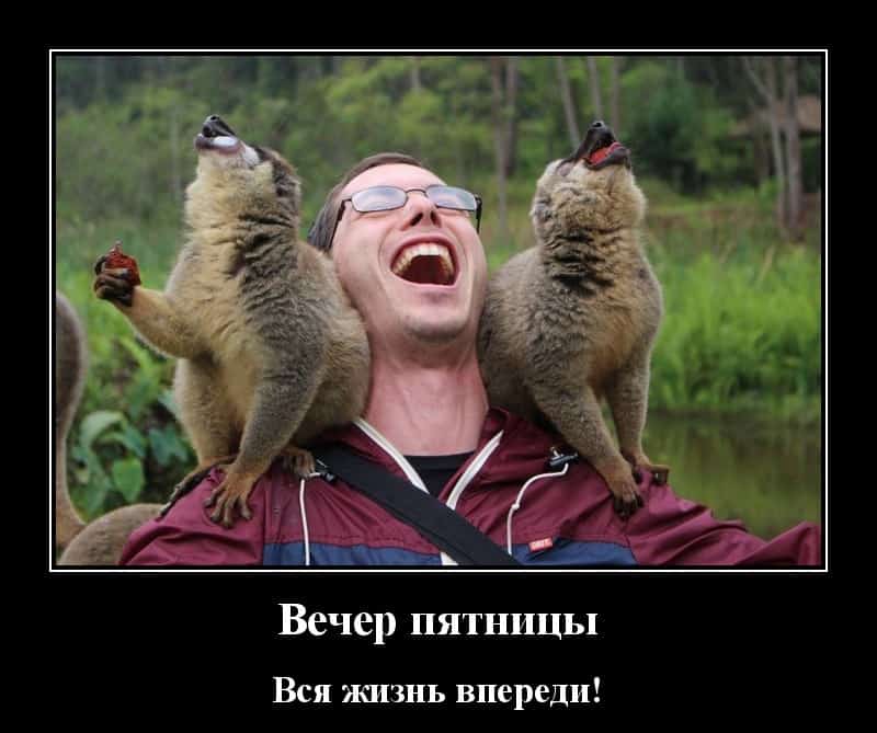 Калейдоскоп свежих демотиваторов и вся жизнь впереди