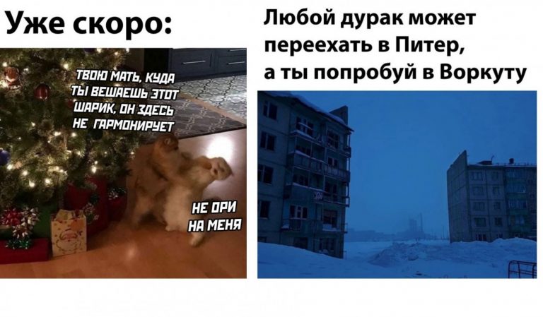 Фото приколы на утро и как правильно повесить шарик на ёлку