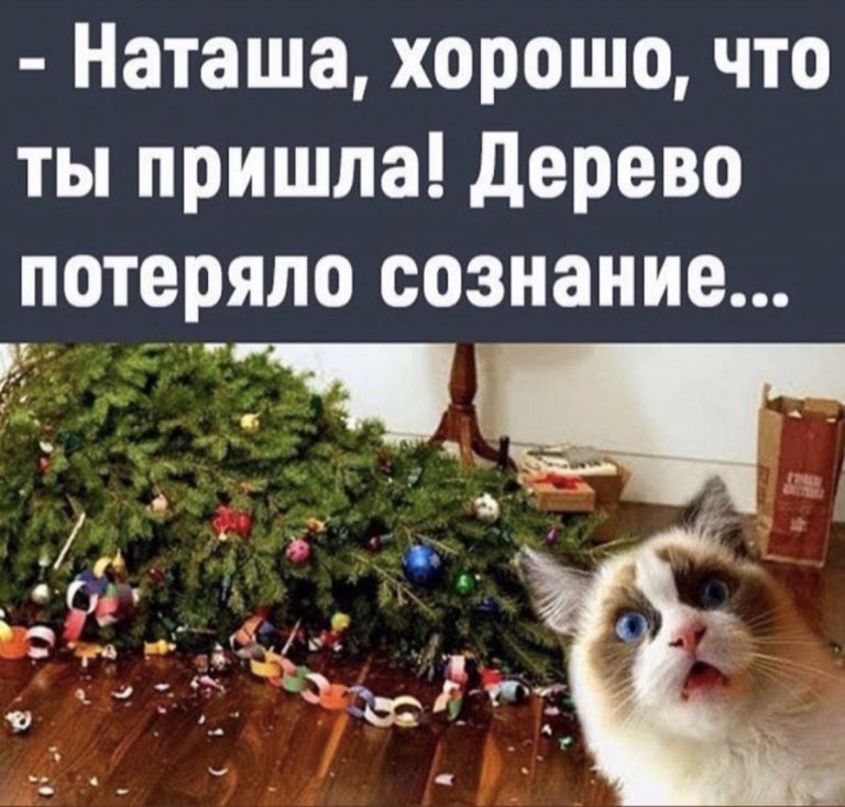 Юмор за день и секрет женской дружбы