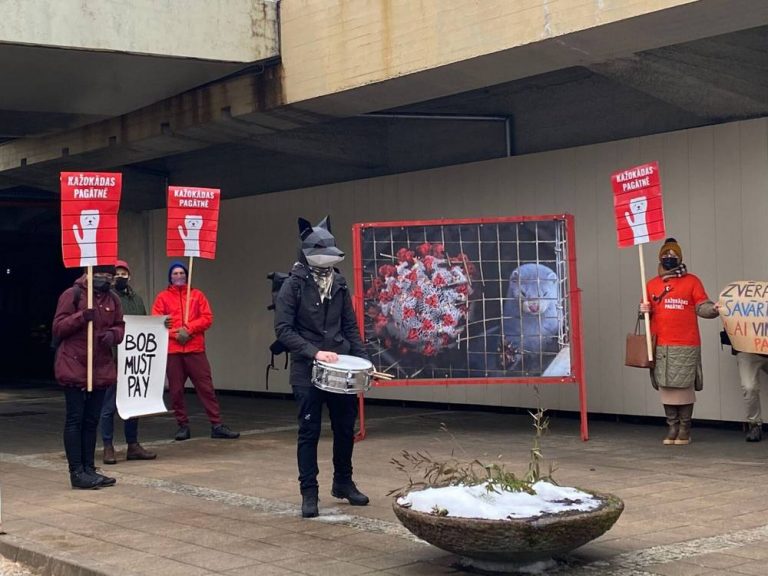 «Не платите «палачам животных»!»: зоозащитники протестуют в Риге против уничтожения норок на звероферме