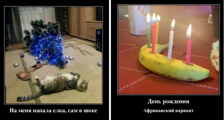 Свежие демотиваторы и когда на тебя сама упала ёлка