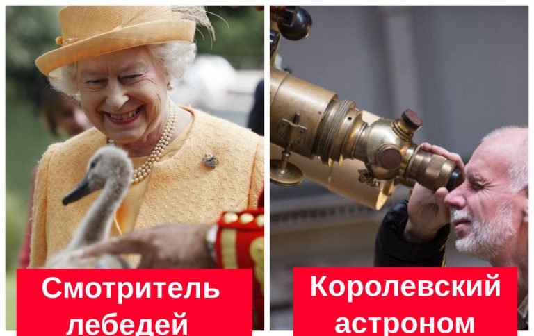 8 самых странных профессий, которые существуют только для обслуживания королевской семьи