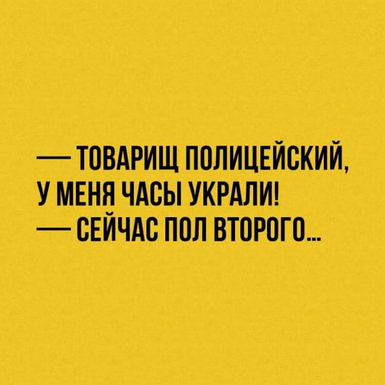Юмор за день и почему коты лучше собак