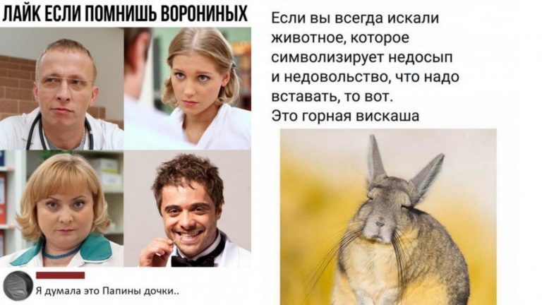 Прикольные картинки в субботу и Воронины