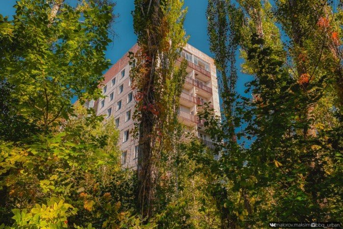 Припять спустя 35 лет после аварии: как образуется новый город — призрак