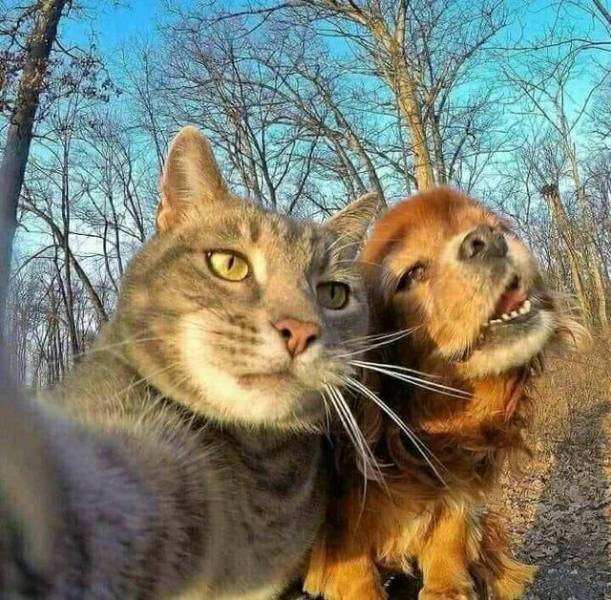 14 фотографий, которые сделают вас чуть добрее