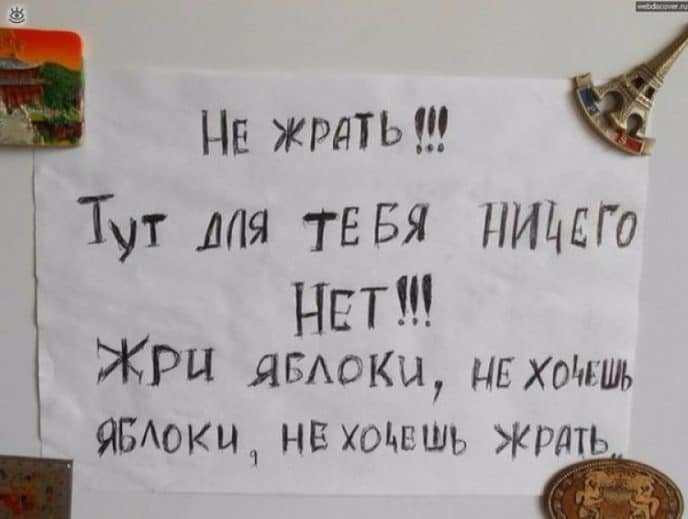 Проснулся аппетит — посмотри на целлюлит: убойные семейные  записки