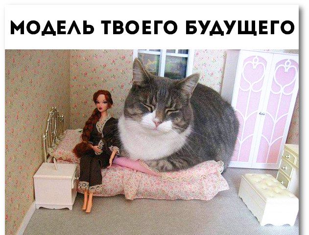 Любовный гороскоп на 2022 год: что ждет каждый знак зодиака в новом году